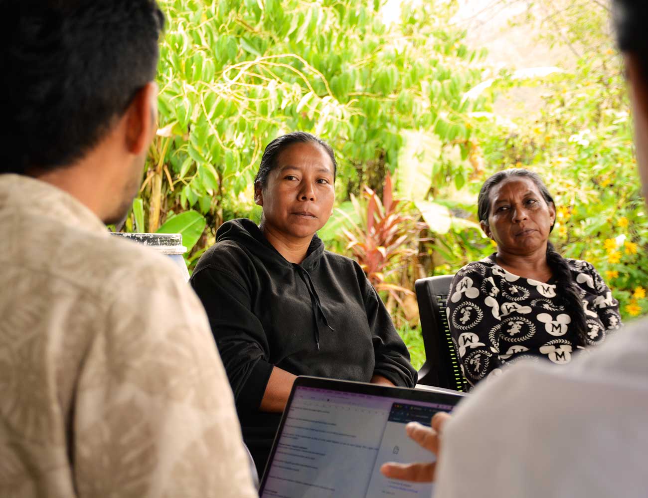 Asesoría en marca de DMM a la marca SIEMBRA