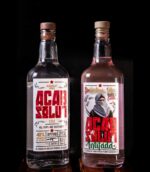 VODKA ACABSOLUT