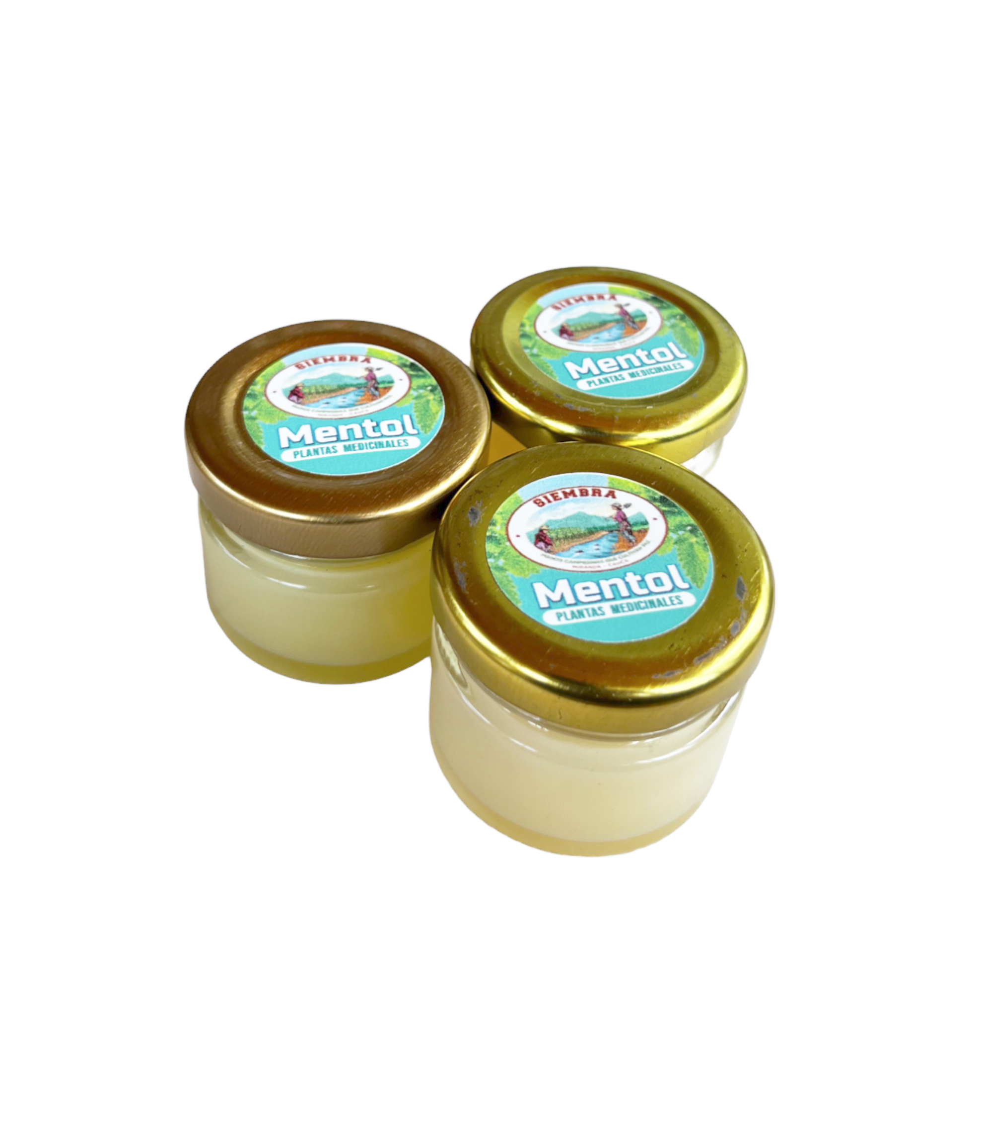 mentol-01.jpg Mentol con plantas medicinales - Image 1