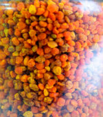 Polen granulado - Image 3